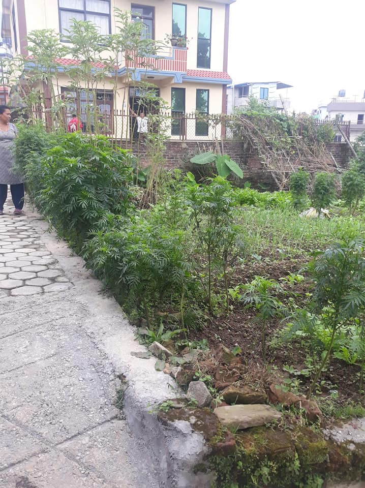 Picture of Chandragiri Municipality, Bagmati Province