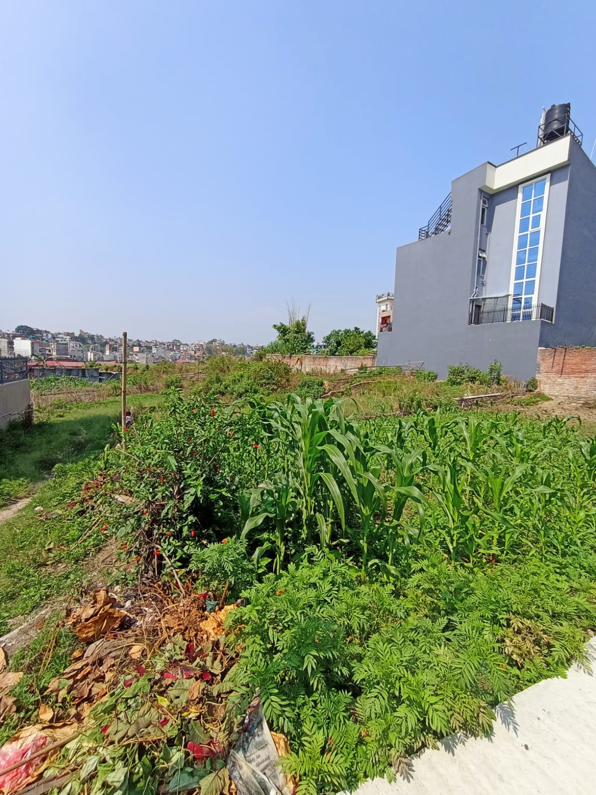 Picture of Budhanilkantha Municipality, Bagmati