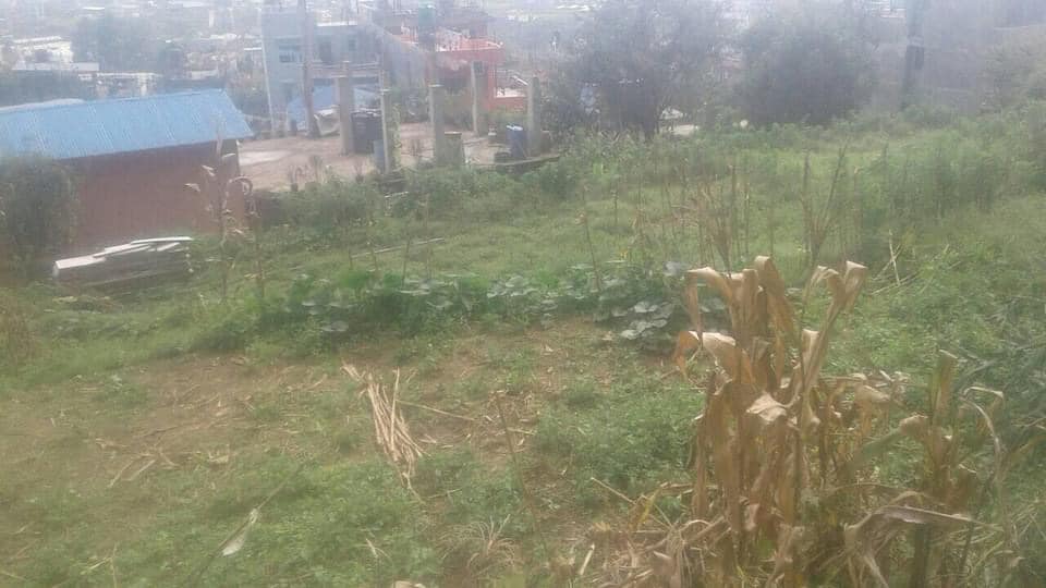 Picture of Tarkeshwor Municipality, Bagmati Province