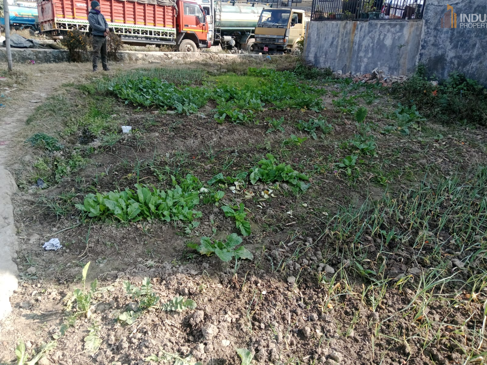 Picture of Lalitpur Metropolitan City, Bagmati