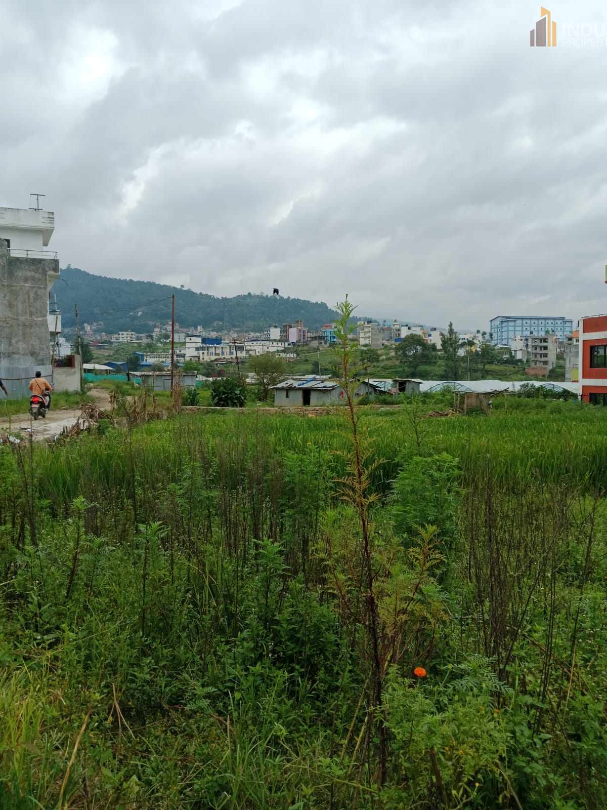 Picture of Mahalaxmi Municipality, Bagmati