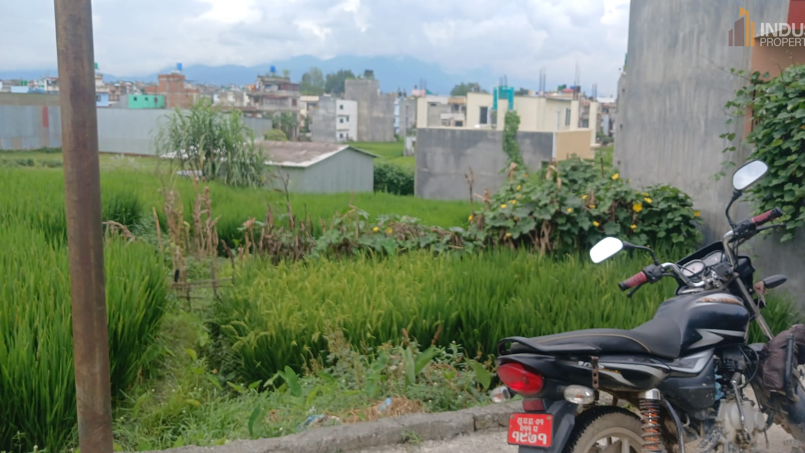 Picture of Mahalaxmi Municipality, Bagmati