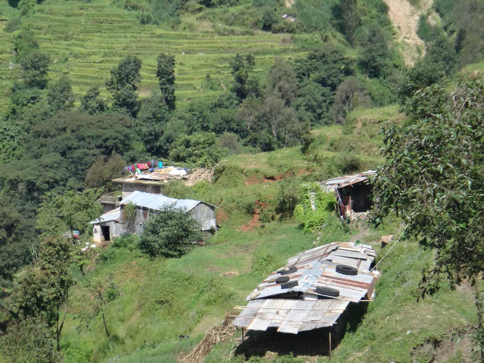 Picture of Tarkeshwor Municipality, Bagmati Province