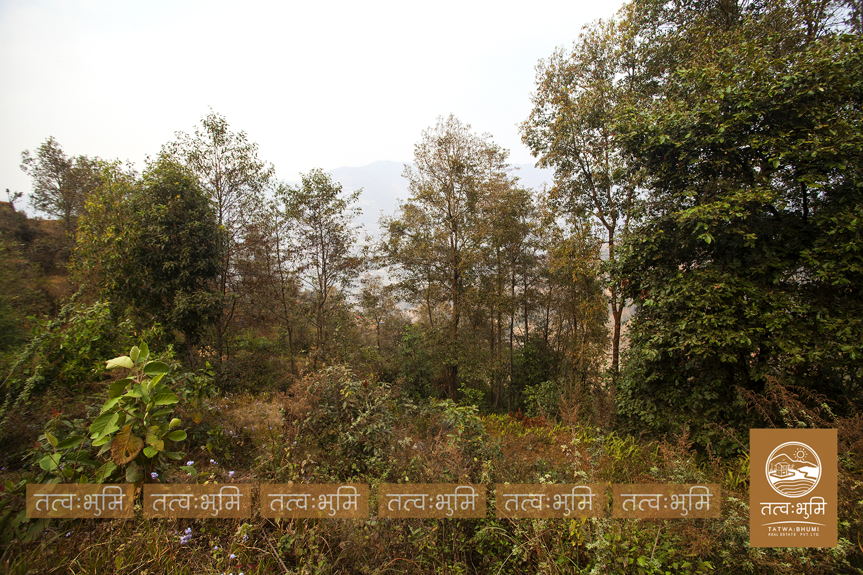 Picture of Shivapuri Rural Municipality, Bagmati