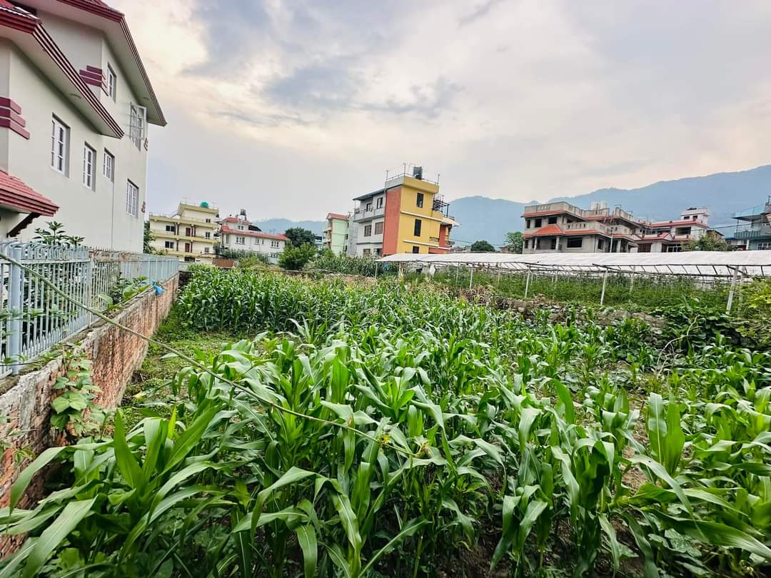 Picture of Budhanilkantha Municipality, Bagmati