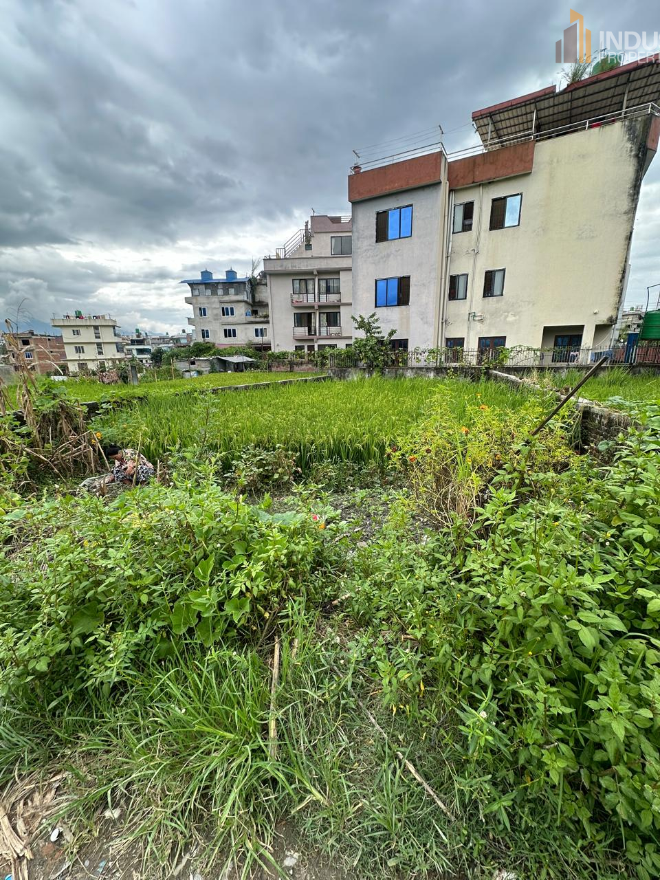 Picture of Mahalaxmi Municipality, Bagmati
