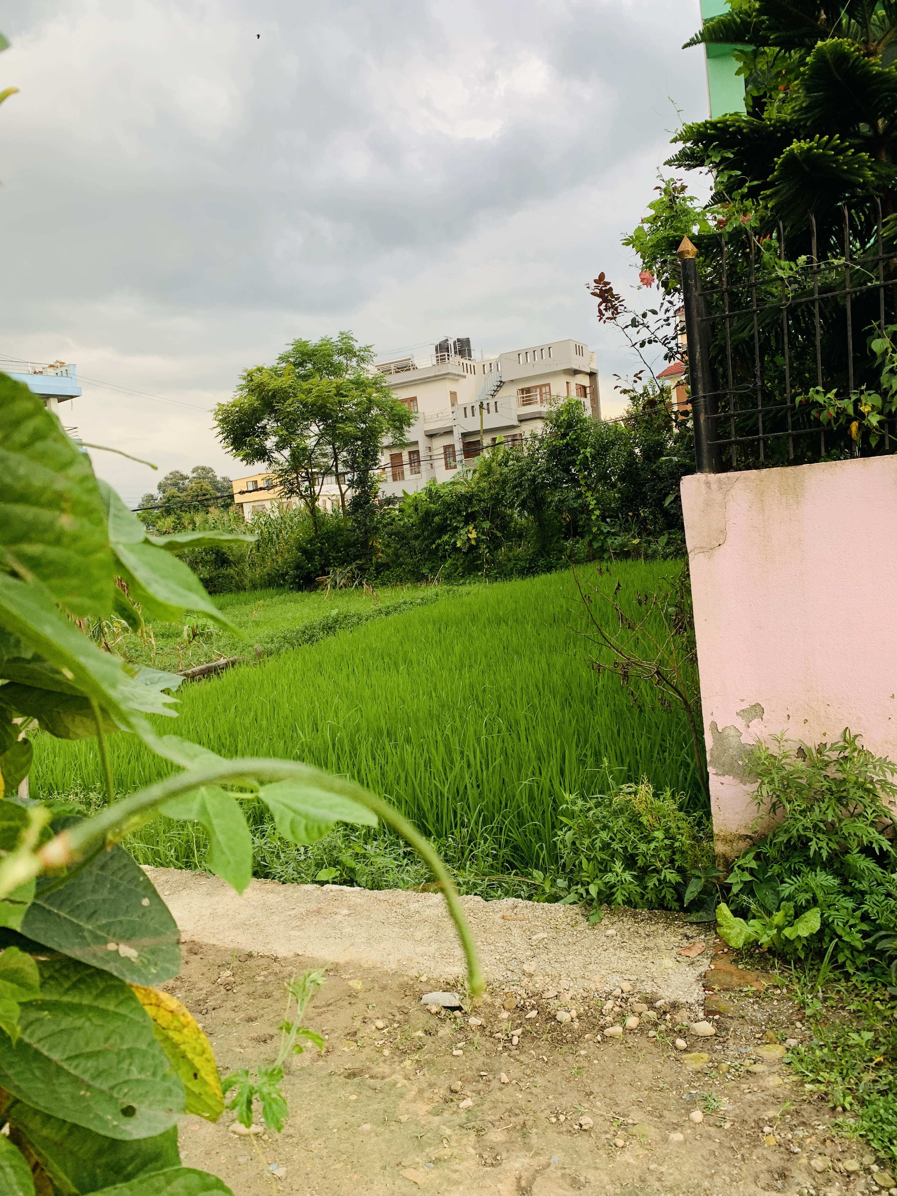 Picture of Lalitpur Metropolitan City, Bagmati
