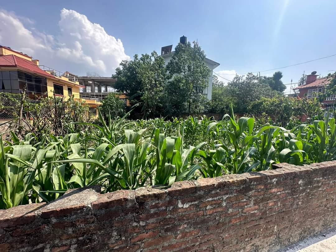 Picture of Kathmandu Metropolitan City, Bagmati