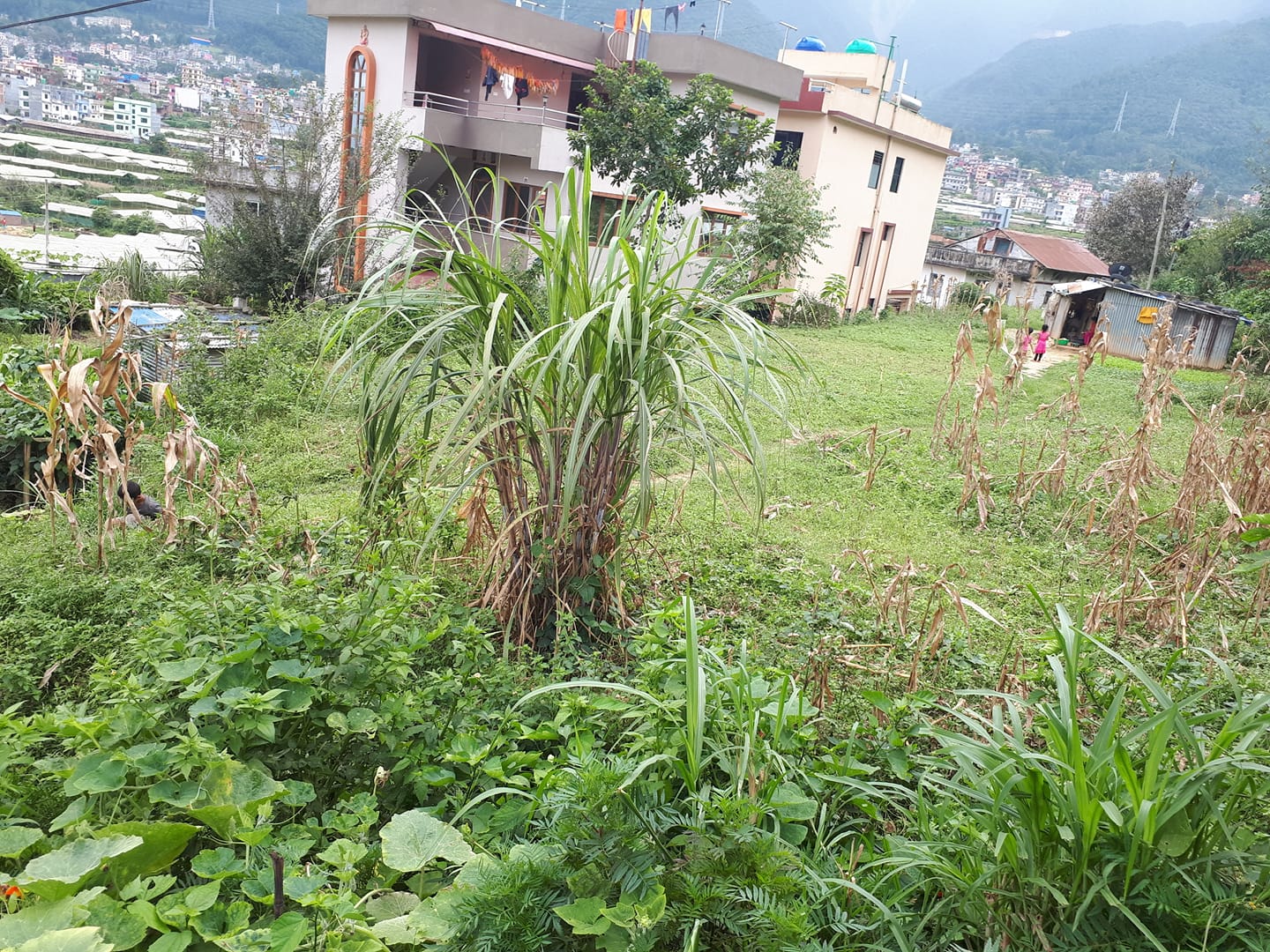 Picture of Chandragiri  Municipality, Bagmati Province