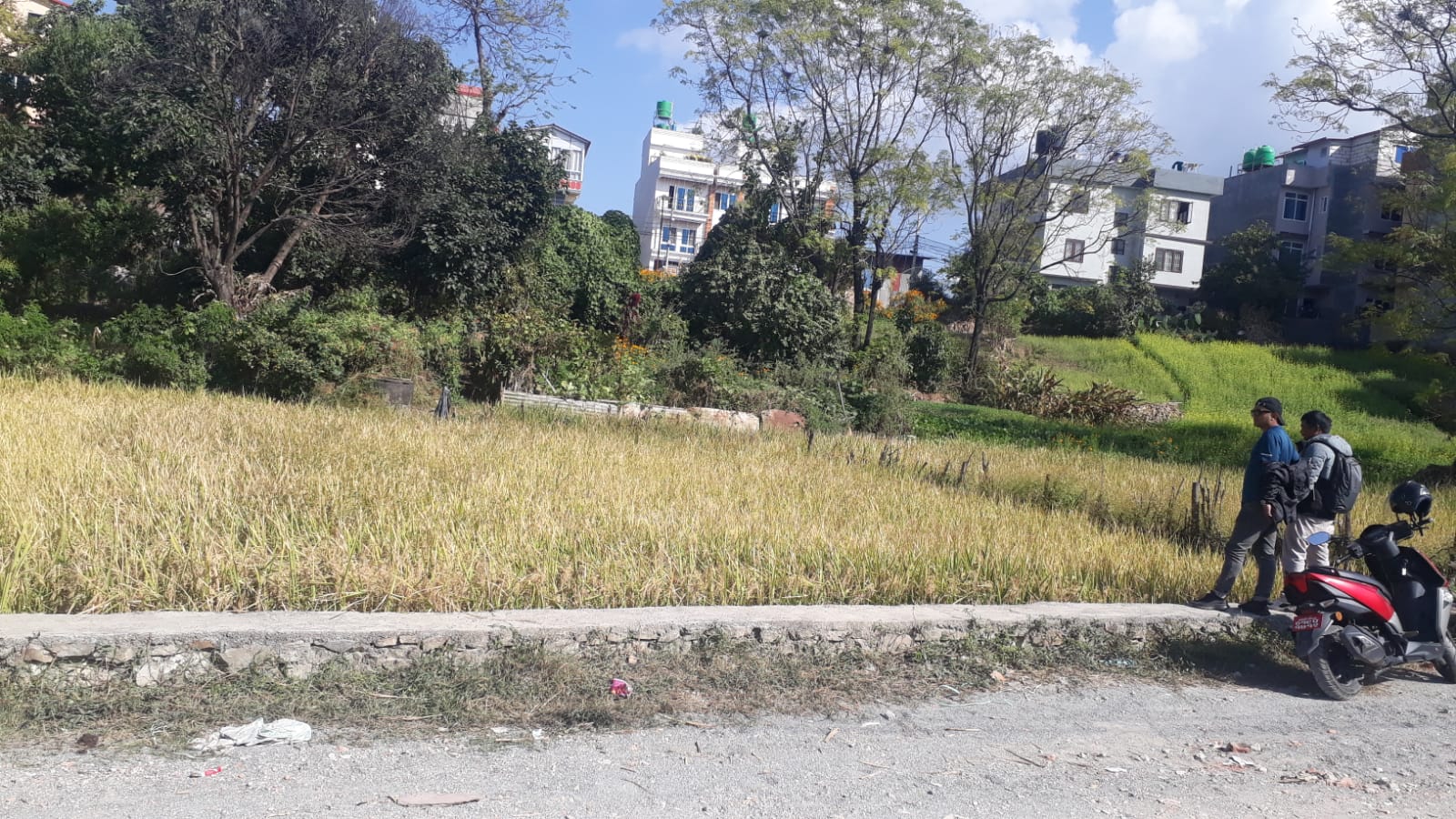 Picture of Mahalaxmi Municipality, Bagmati