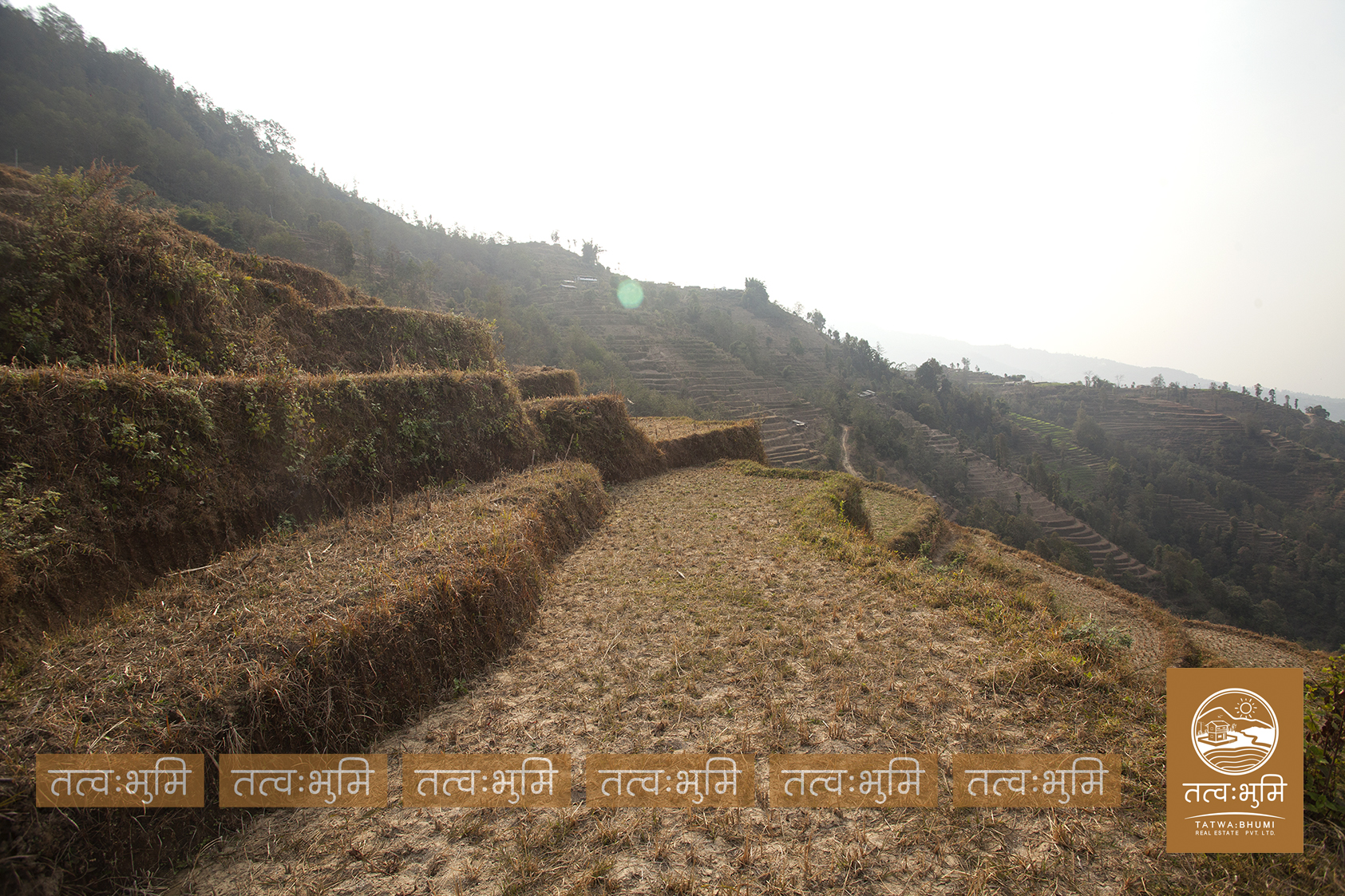 Picture of Shivapuri Rural Municipality, Bagmati