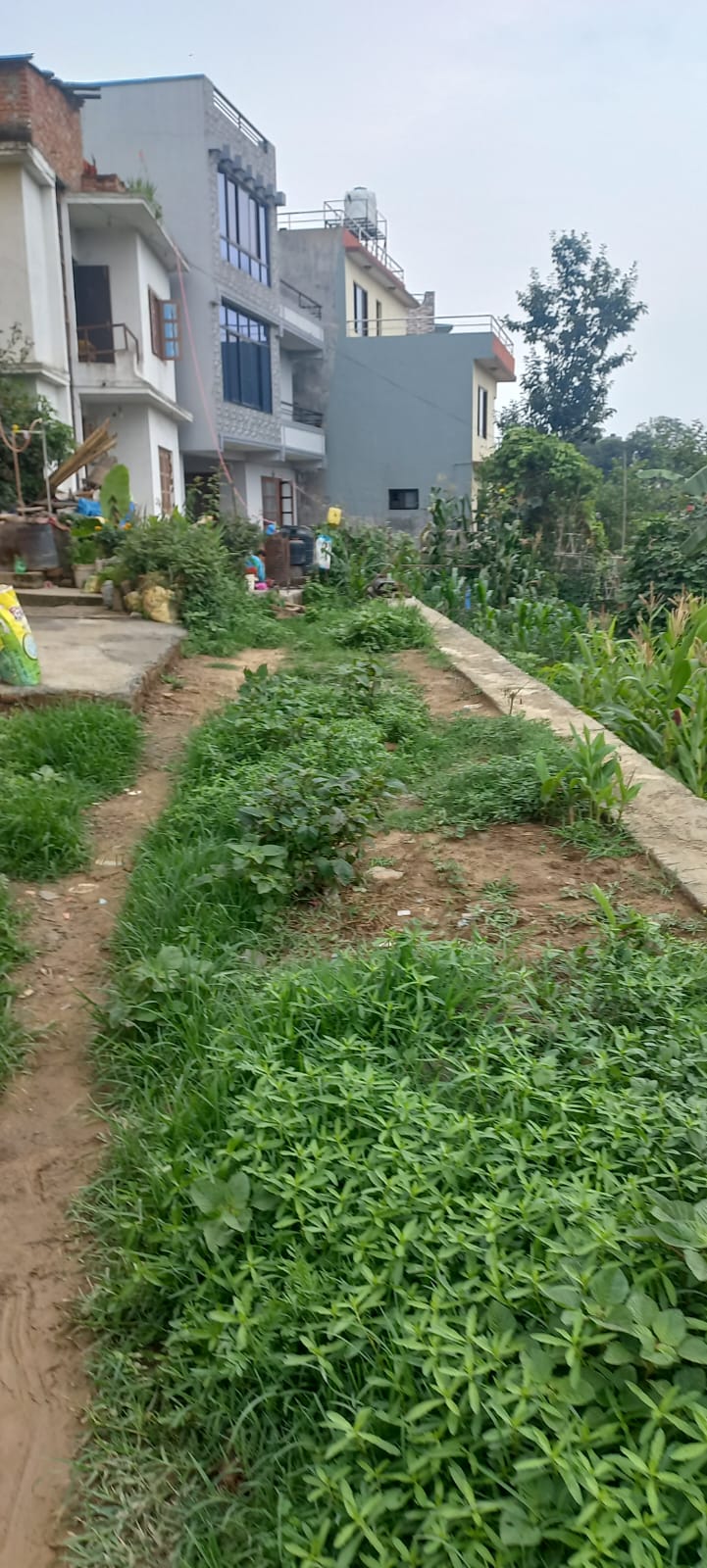 Picture of Suryabinayak Municipality, Bagmati