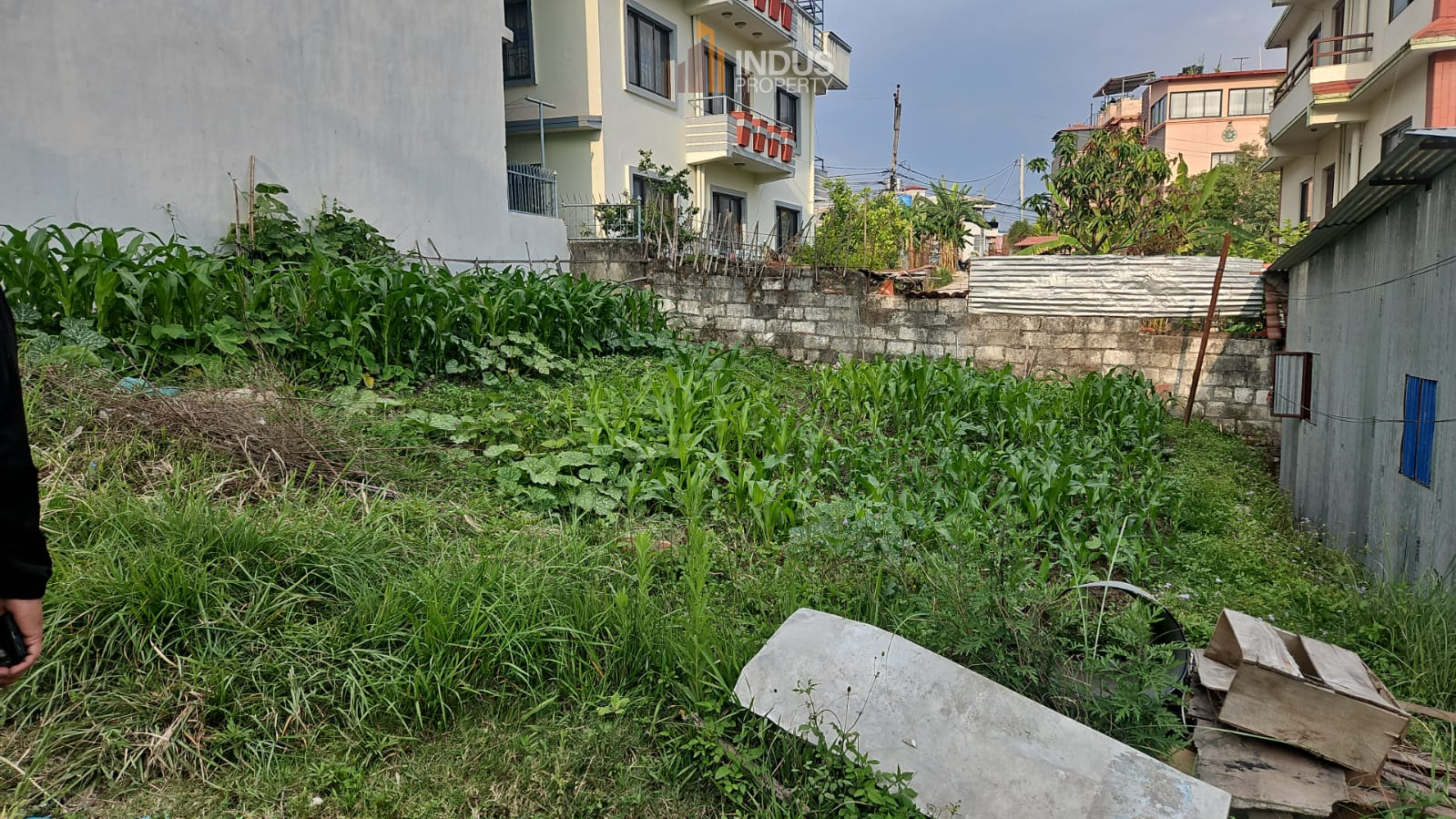 property-image
