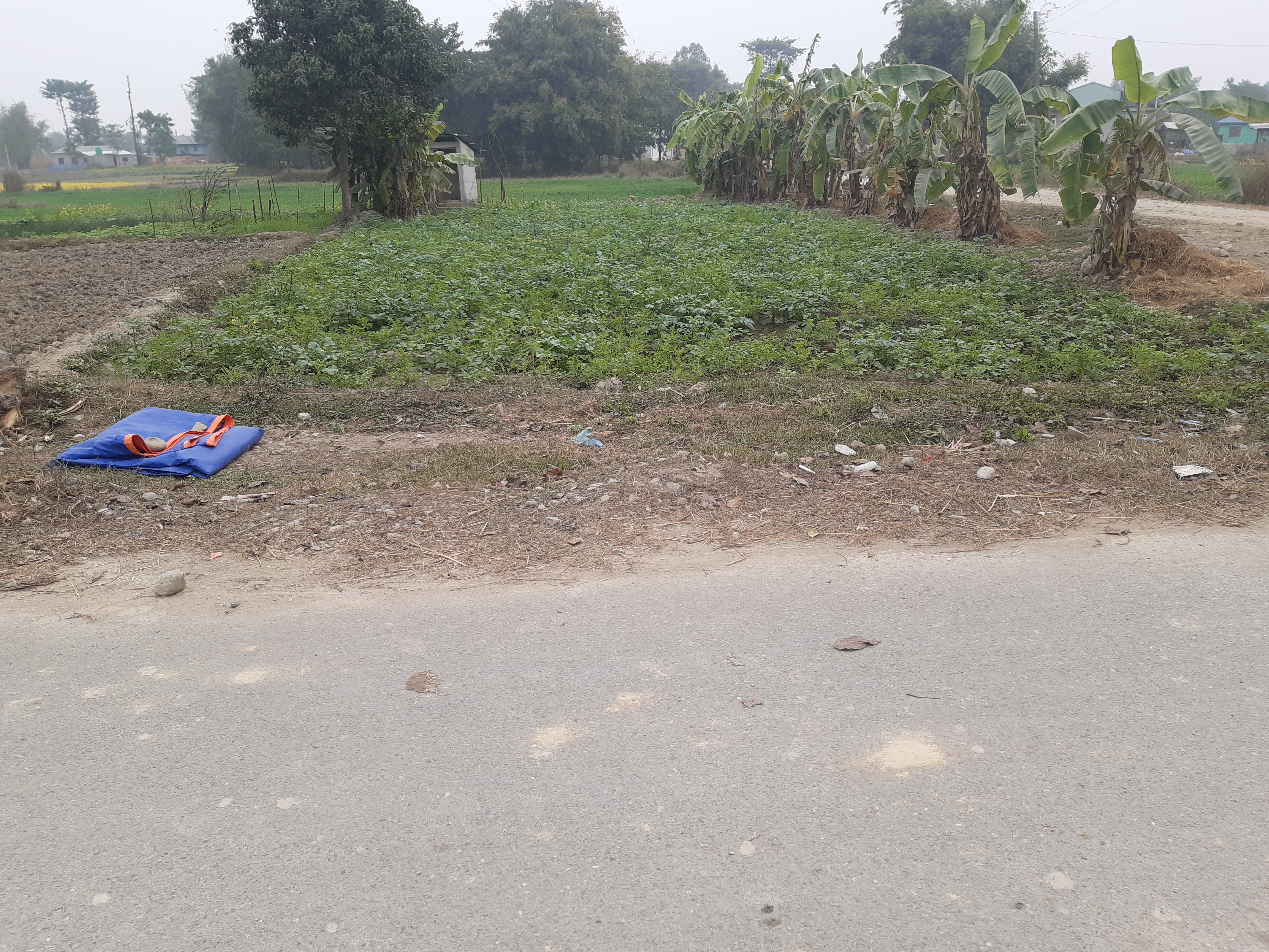 Picture of Ratuwamai Municipality, Koshi