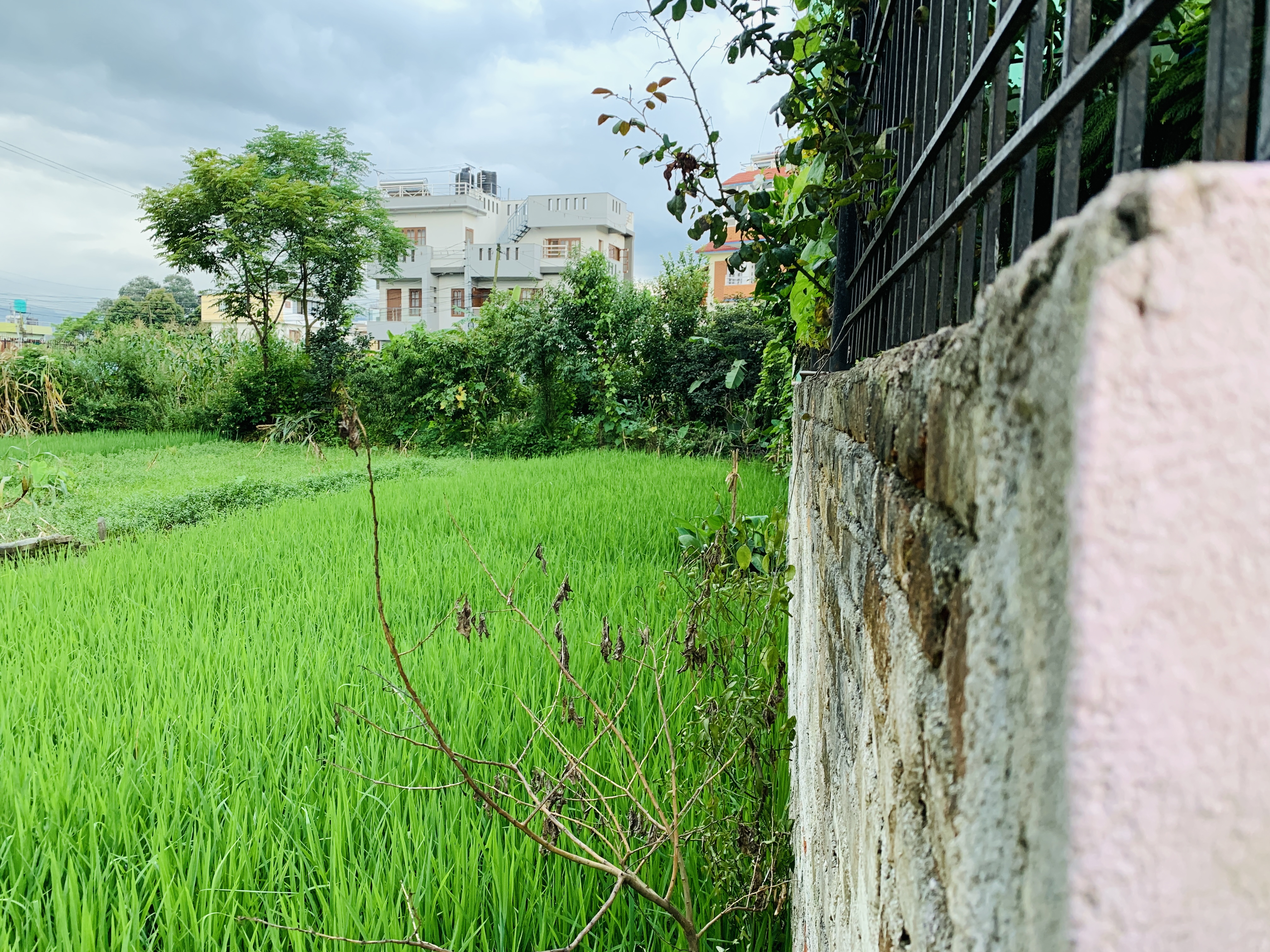 Picture of Lalitpur Metropolitan City, Bagmati