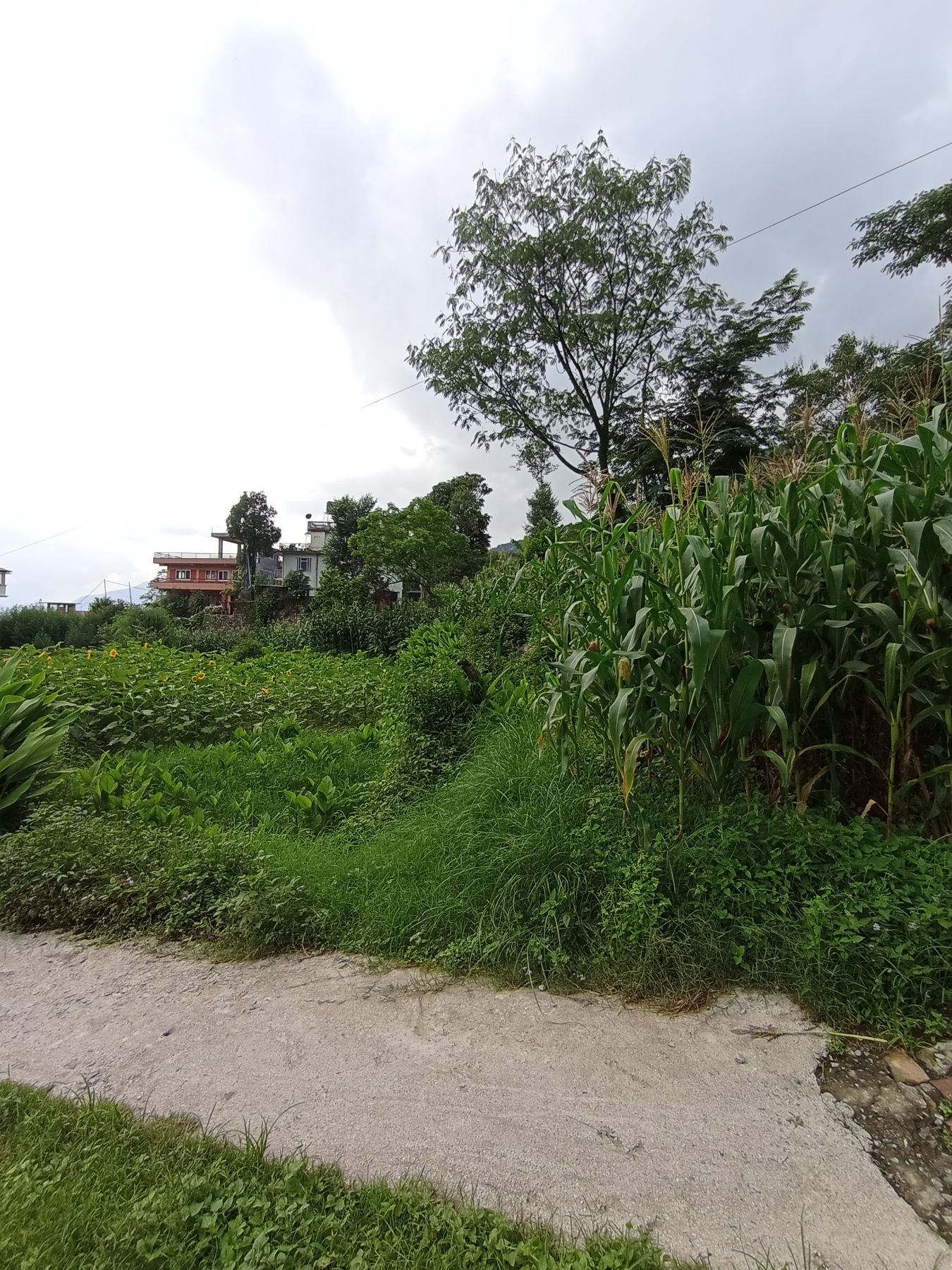 Picture of Budhanilkantha Municipality, Bagmati