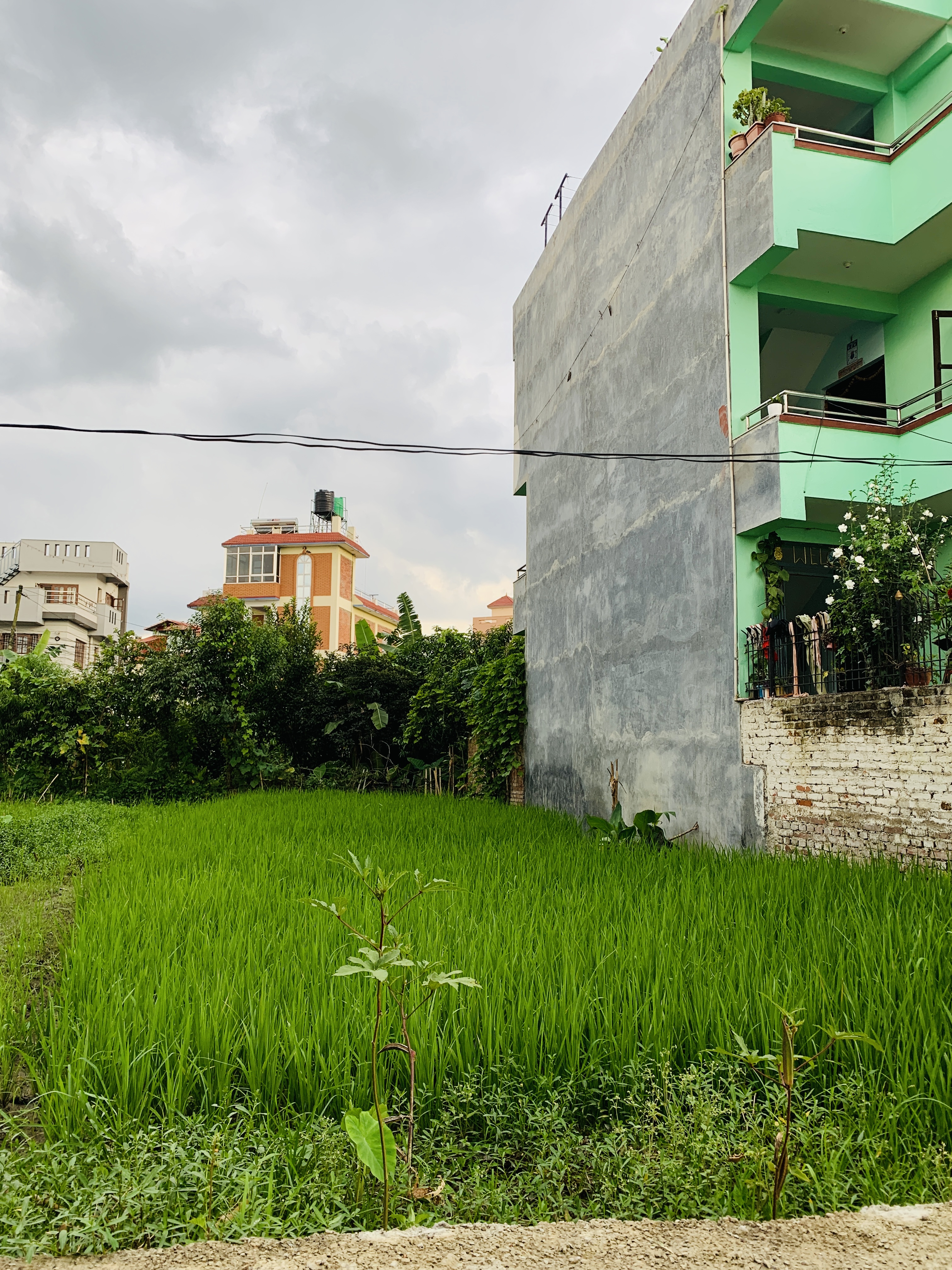 Picture of Lalitpur Metropolitan City, Bagmati