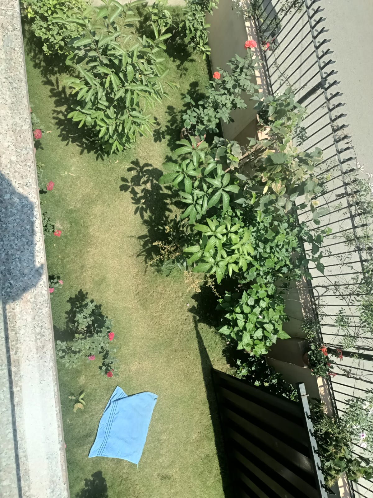 Picture of Budhanilkantha Municipality, Bagmati