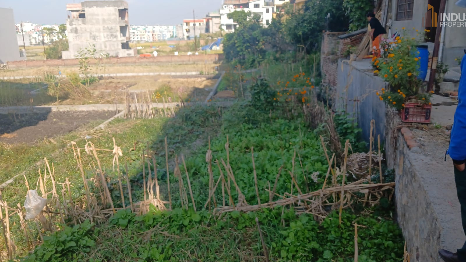 Picture of Mahalaxmi Municipality, Bagmati