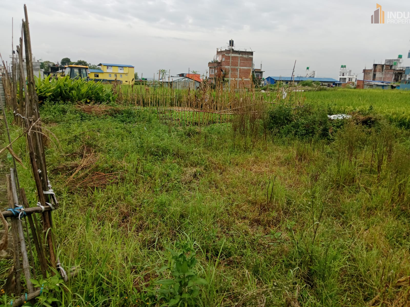 Picture of Mahalaxmi Municipality, Bagmati