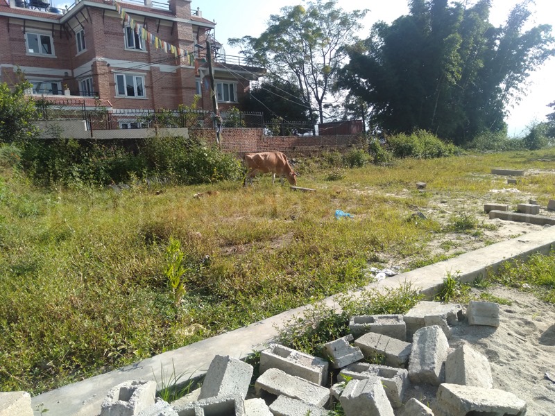 Picture of Budhanilkantha Municipality, Bagmati Province