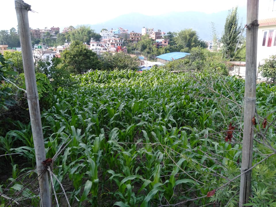 Picture of Kathmandu Metropolitan City, Bagmati Province