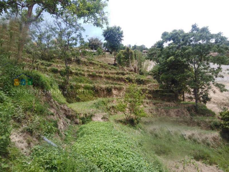Picture of Shankharapur Municipality, Bagmati Province