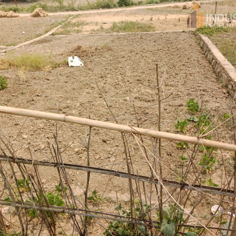 Picture of Mahalaxmi Municipality, Bagmati