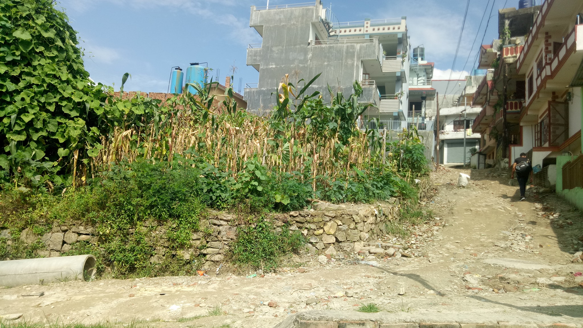Picture of Budhanilkantha Municipality, Bagmati Province