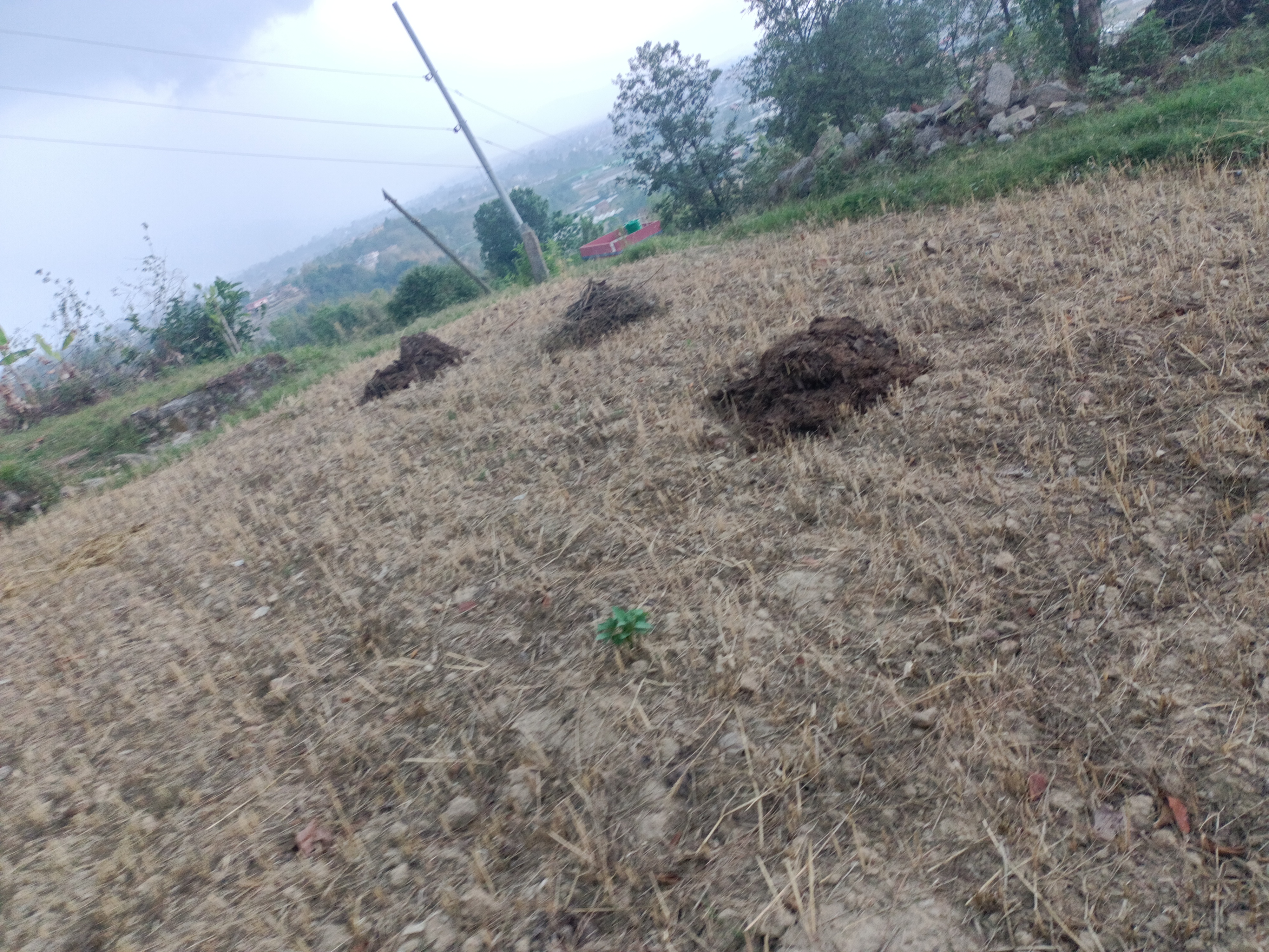 Picture of Changunarayan Municipality, Bagmati