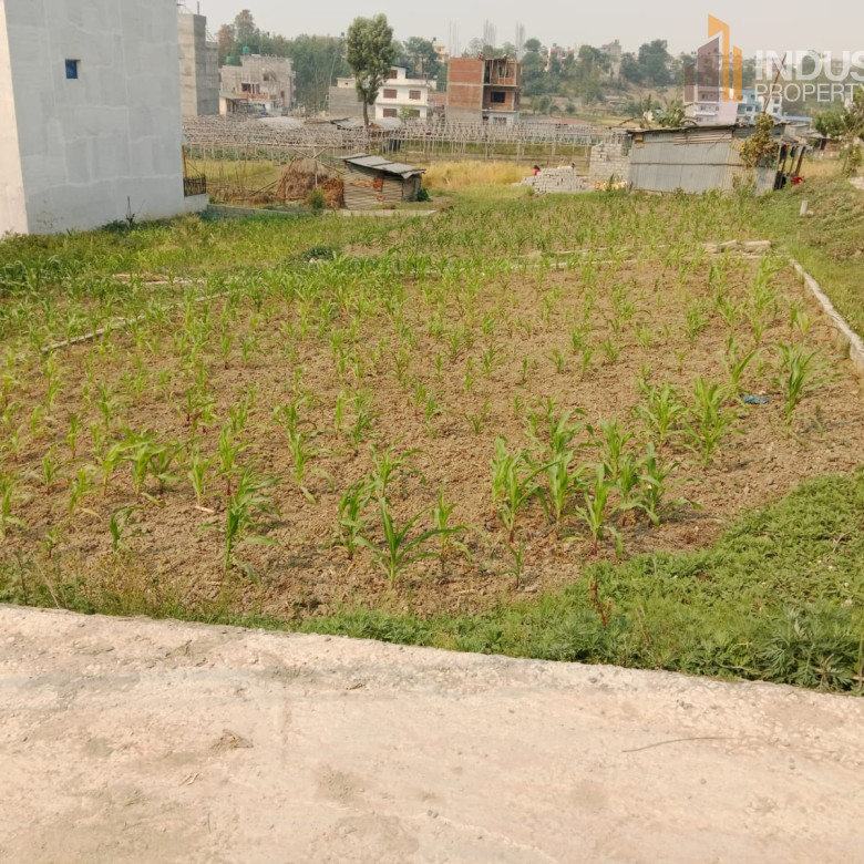 Picture of Mahalaxmi Municipality, Bagmati