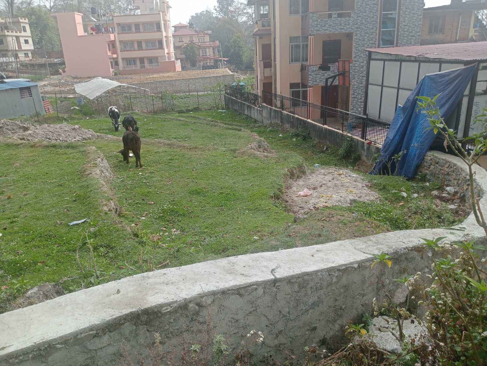 Picture of Budhanilkantha Municipality, Bagmati