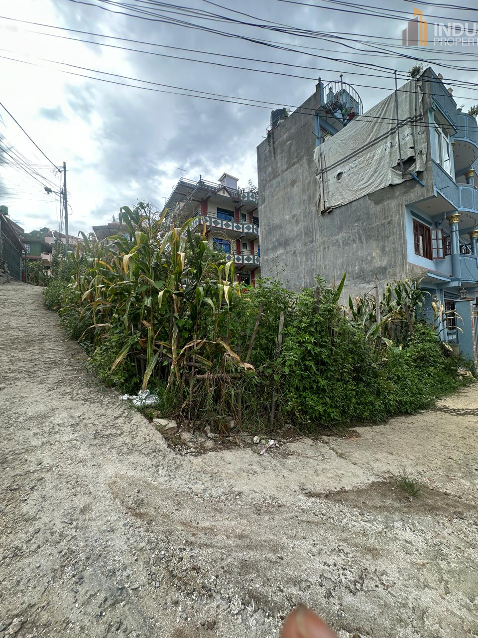 Picture of Mahalaxmi Municipality, Bagmati