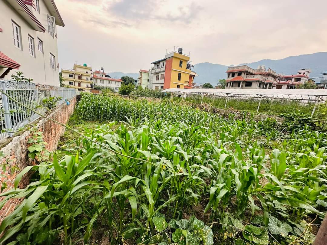 Picture of Budhanilkantha Municipality, Bagmati