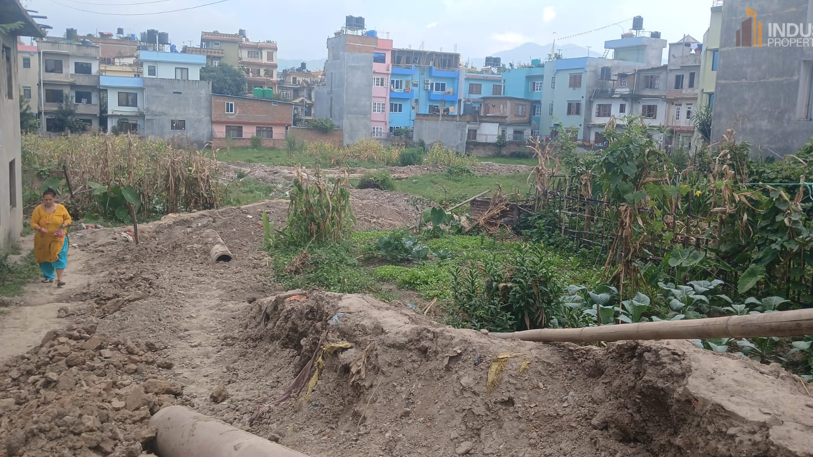 Picture of Mahalaxmi Municipality, Bagmati