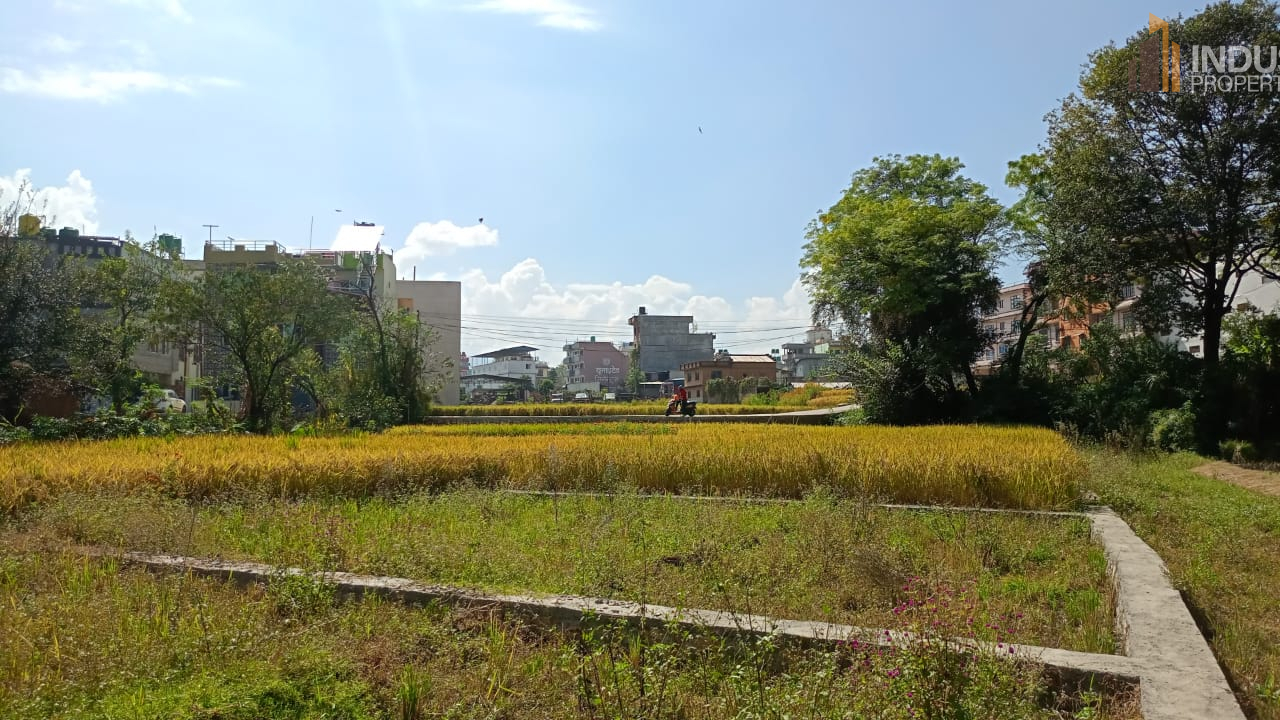 Picture of Mahalaxmi Municipality, Bagmati