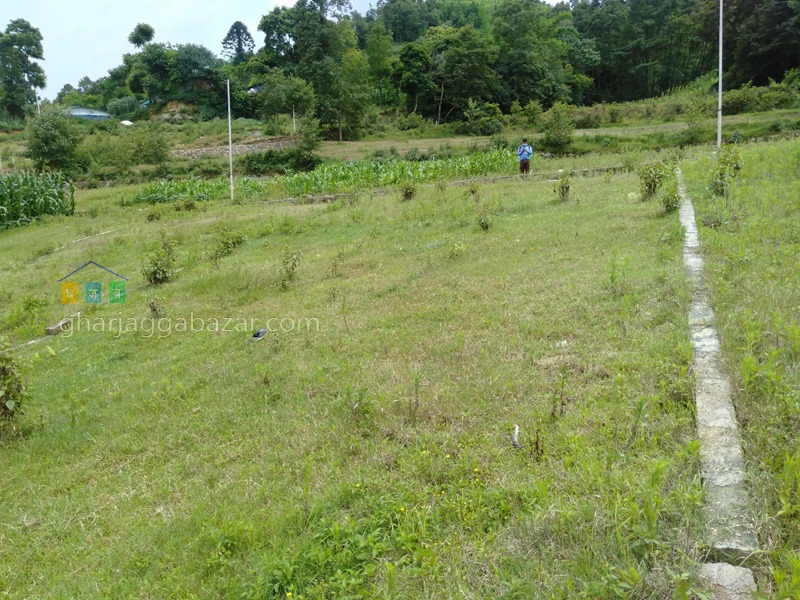 Picture of Nagarjun Municipality, Bagmati Province
