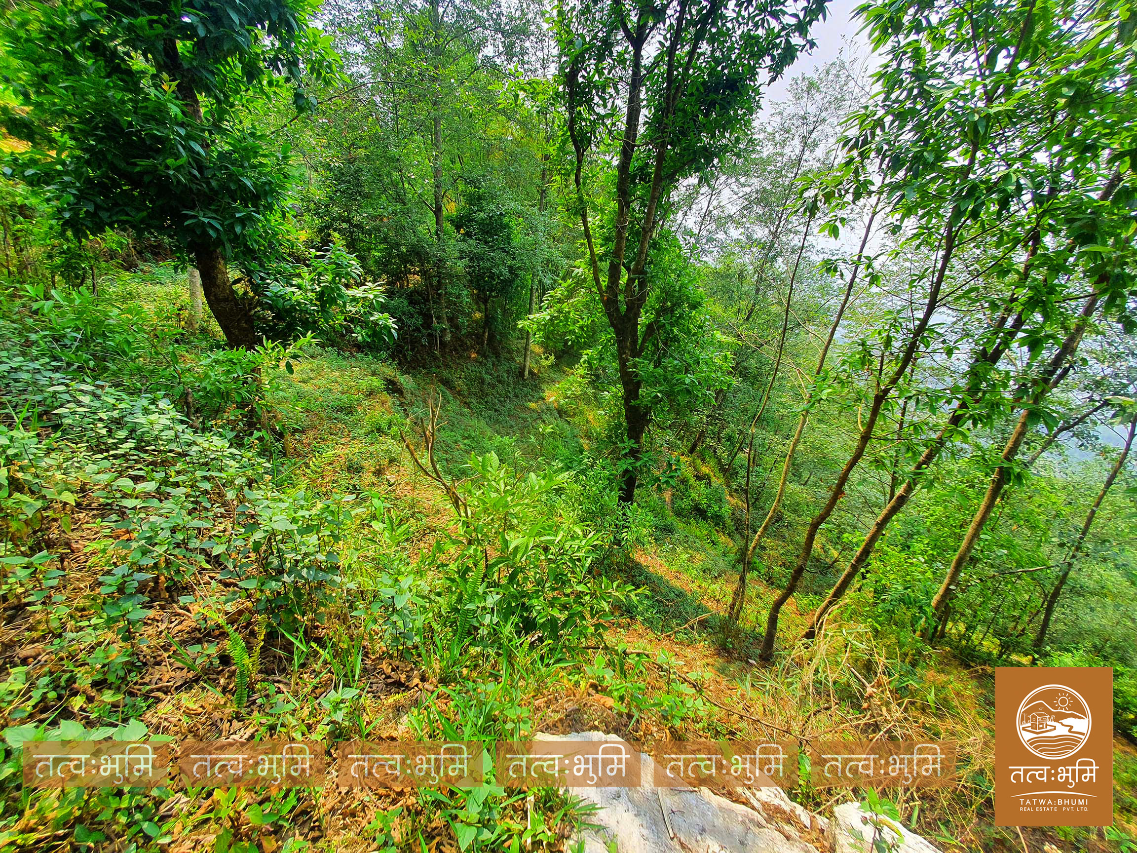 Picture of Shivapuri Rural Municipality, Bagmati