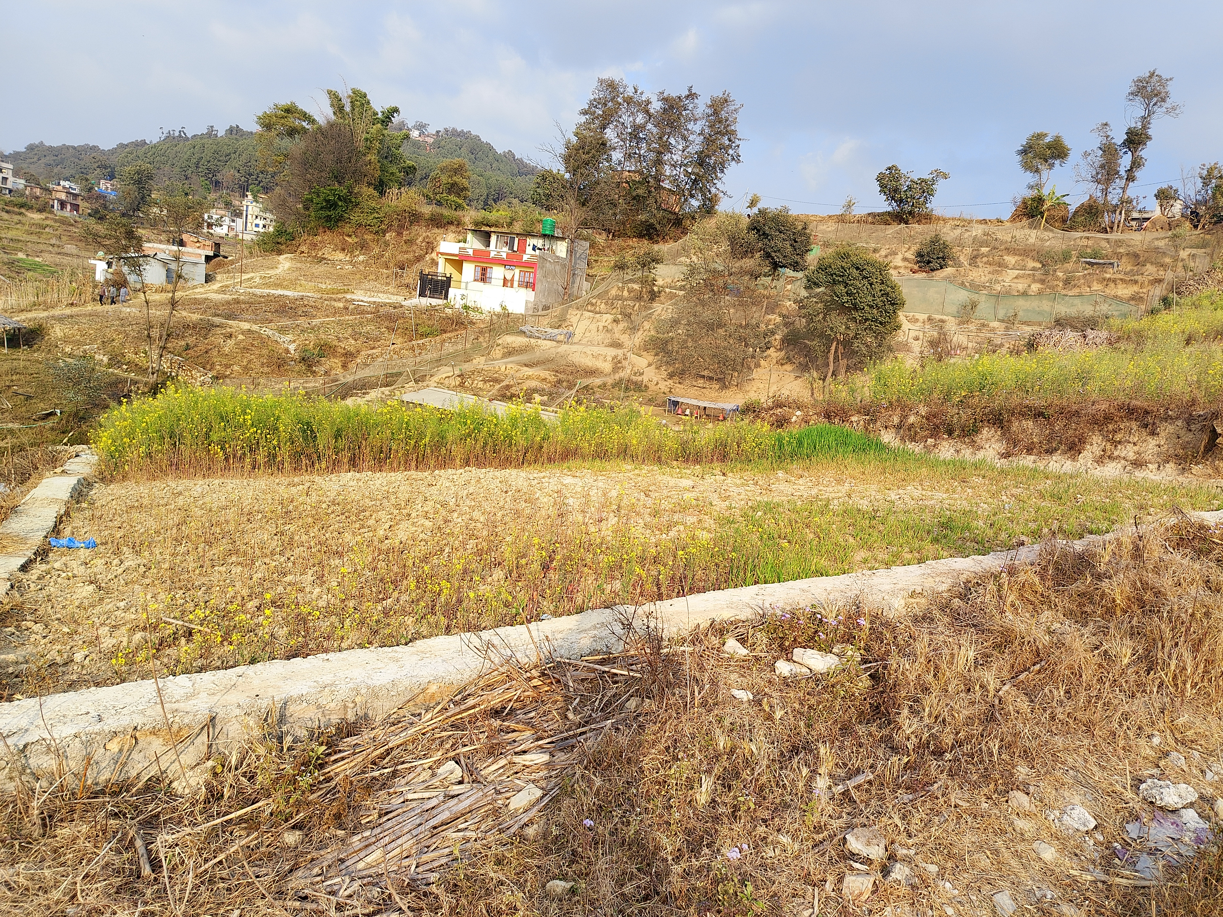 Picture of Changunarayan Municipality, Bagmati