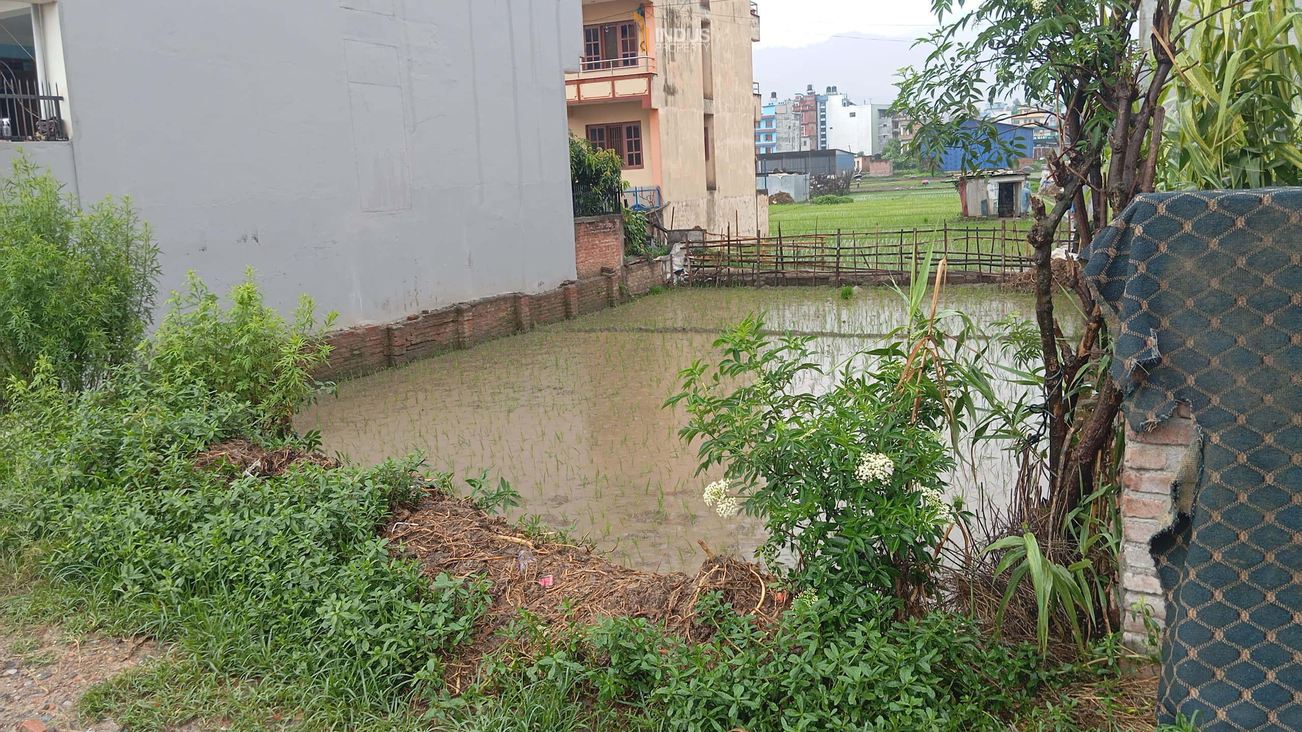 Picture of Madhyapur Thimi Municipality, Bagmati