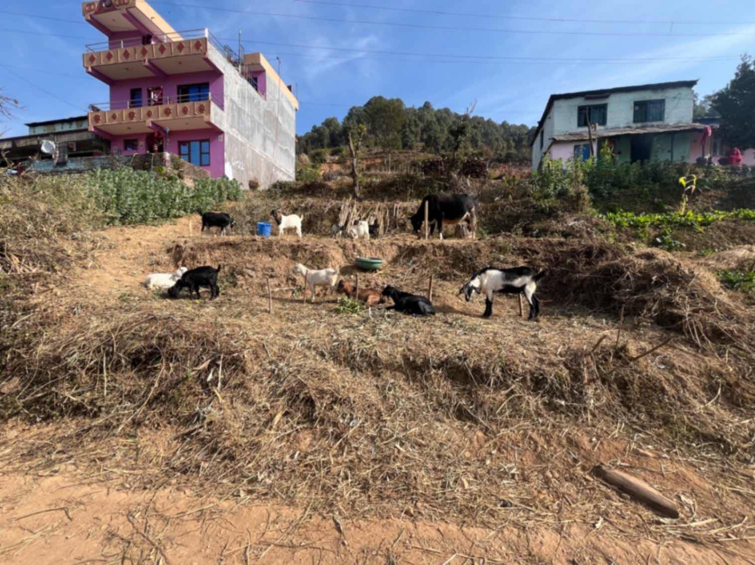 Picture of Godawari Municipality, Bagmati