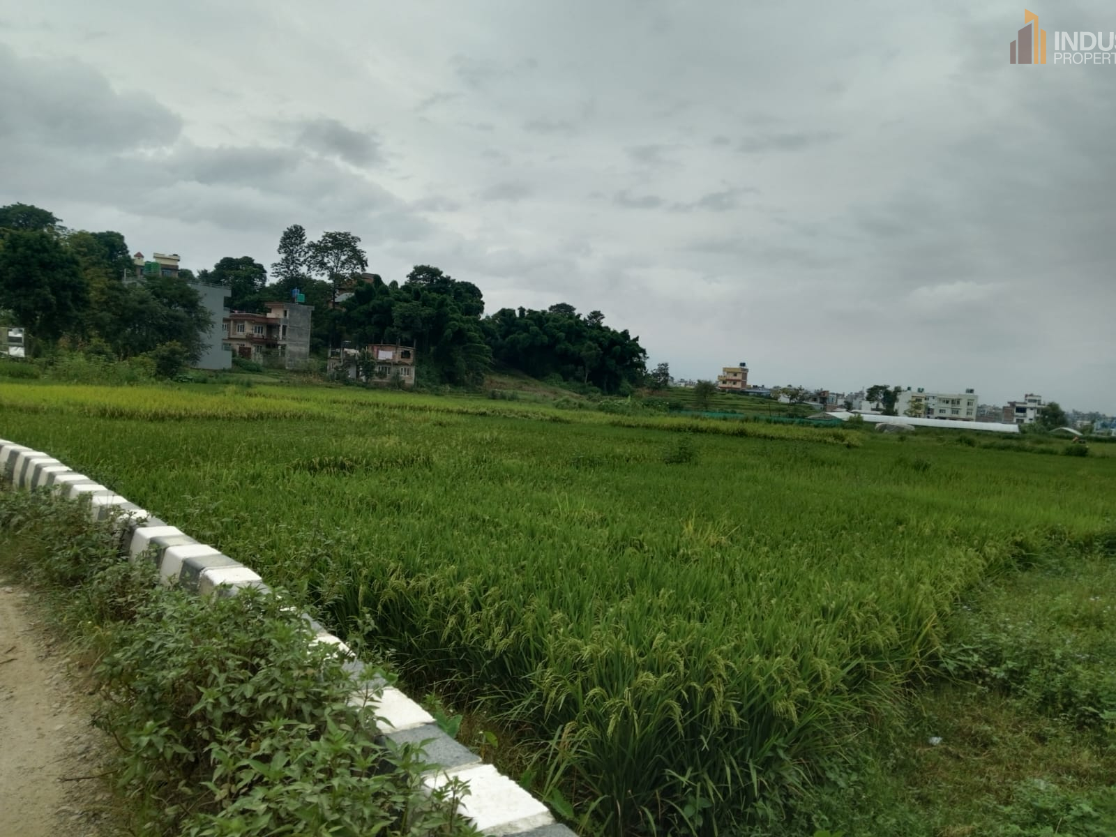 Picture of Mahalaxmi Municipality, Bagmati