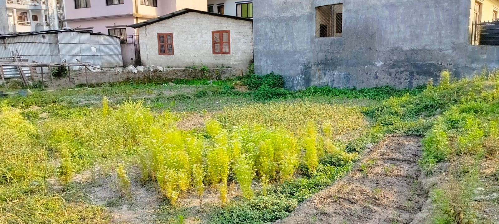 Picture of Tokha Municipality, Bagmati