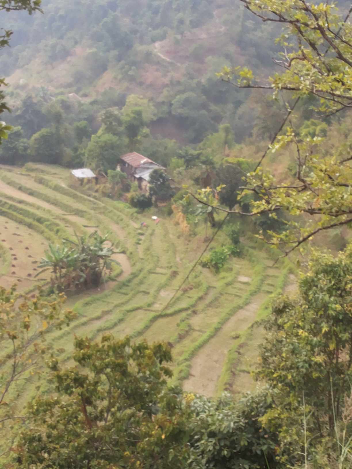 Picture of Lalitpur Metropolitan City, Bagmati