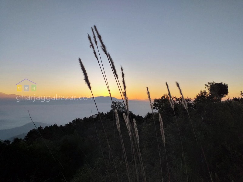 Picture of Shankharapur  Municipality, Bagmati Province