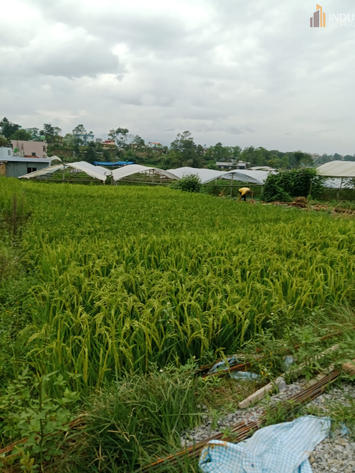 Picture of Mahalaxmi Municipality, Bagmati