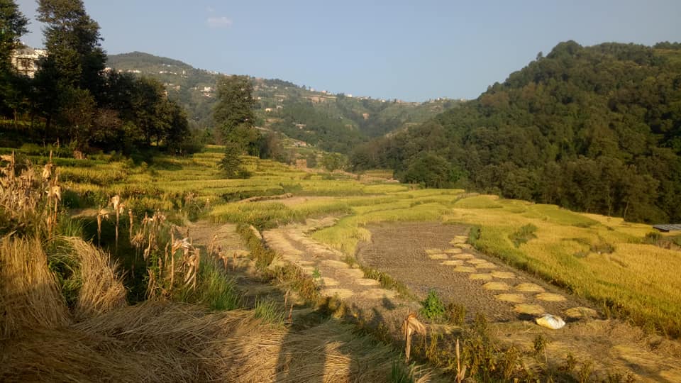 Picture of Changunarayan Municipality, Bagmati Province