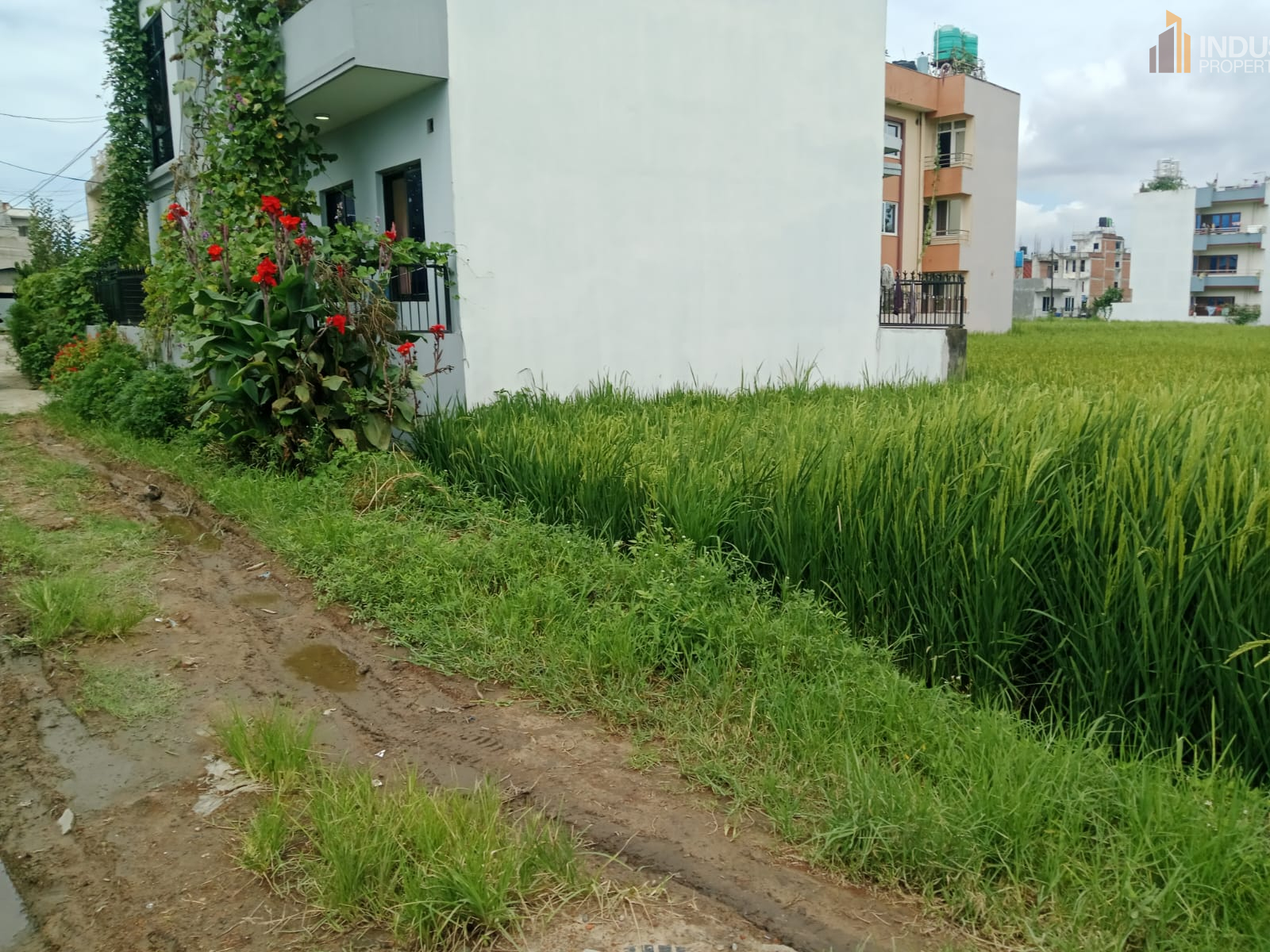 Picture of Mahalaxmi Municipality, Bagmati