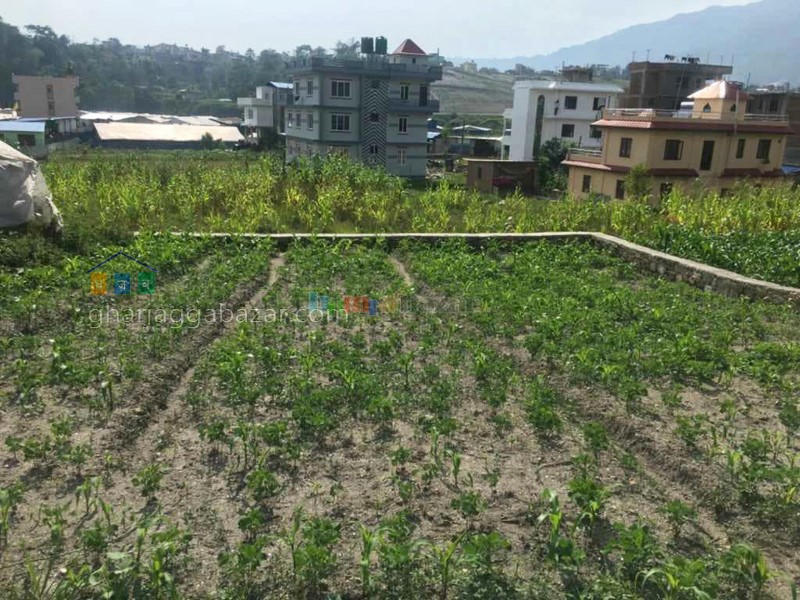 Picture of Tarkeshwor Municipality, Bagmati Province