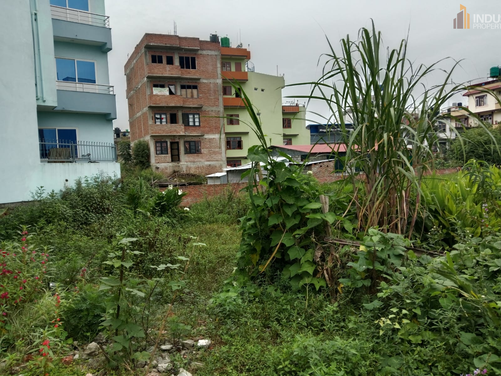 Picture of Mahalaxmi Municipality, Bagmati